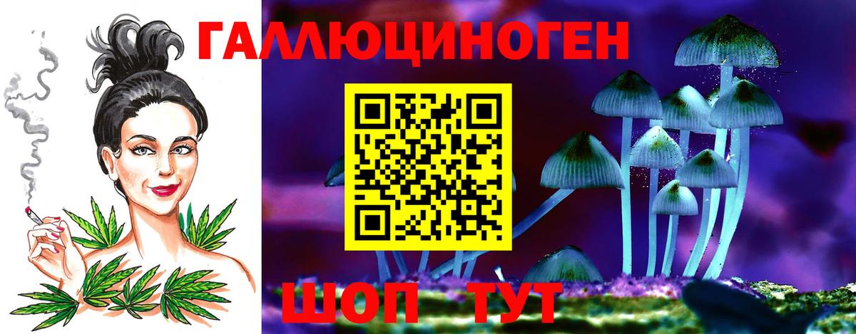 Псилоцибиновые грибы Psilocybe  Галлюциногенные грибы MAGIC MUSHROOMS  наркошоп  Реж  Вход с VPN 