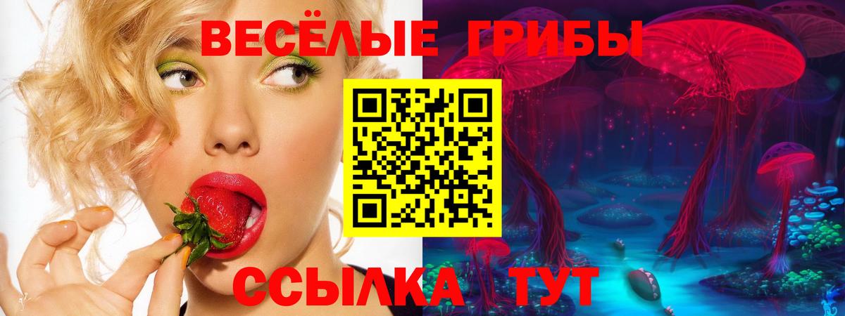 Галлюциногенные грибы Psilocybe Реж