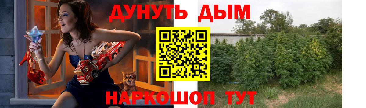 Канабис планчик  Каннабис семена  МАРИХУАНА MAZAR  Вход с VPN  Реж 